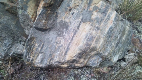 Гигантские зелёные валуны для ландшафтного дизайна весом более 5 тонн купить в Симе