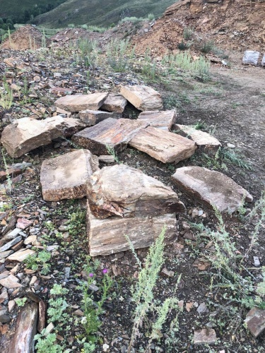 Плитняк кора дерева 50-100мм для пошаговых дорожек купить в Симе